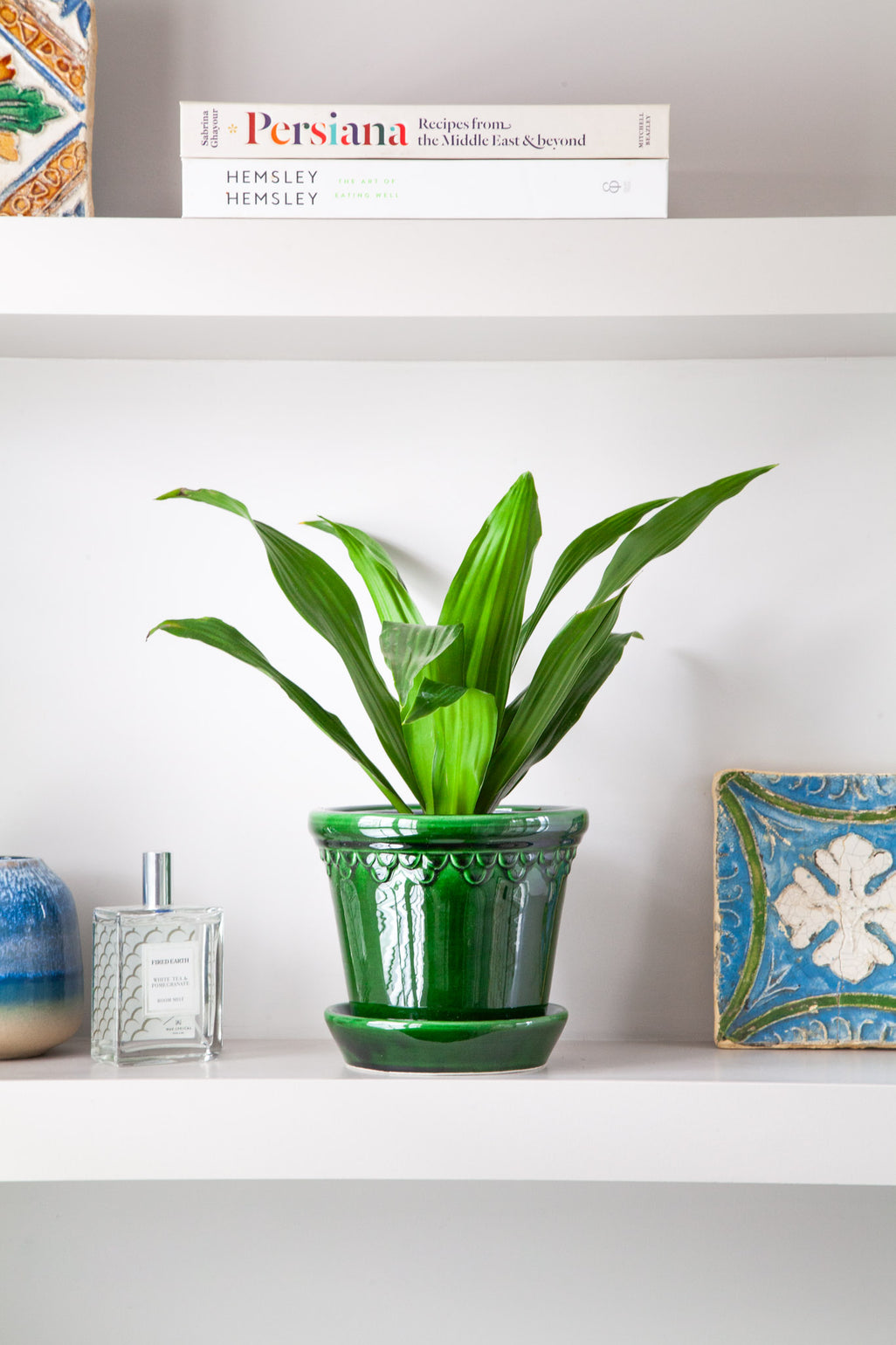 files/IndoorPlants_2-JamieShots20.11.2023-025.jpg